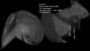 � M. D�hne; Messier 42/43