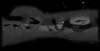 � M. D�hne; Milchstra�e (Cygnus / Schwan)