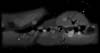 � M. D�hne; Milchstra�e (Sagittarius / Sch�tze)
