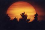 � M. Wagner; Sonnenuntergang