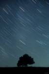 � P. Wienerroither; Landschaft. 55mm, Bl. 4, 5 Min., 6.12.2000, Hohe Wand. Minolta SRT101, Kodak Elite 400.