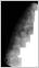 � P. Wienerroither; Mond, 5.11.2000, MK-67 150/1800, mod. Logitech QuickCam VC, Mosaik a. 25 Fotos