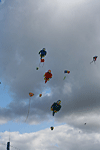 � N. Kloth; 7. IHT-Reinsehlen vom 07. - 09. September 2007; Drachenfest.