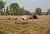 � N. Kloth; 8. IHT-Reinsehlen vom 26. - 28. September 2008: Zelt aufbauen geht in ca. 2 Sekunden, abbauen nicht ohne Anleitung, aber dennoch ohne Probleme.