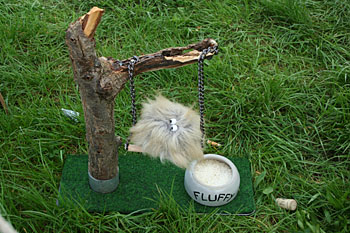 � N. Kloth 2008