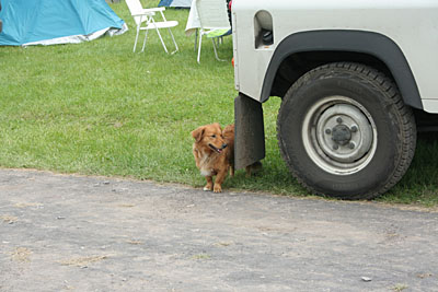 � N. Kloth 2009