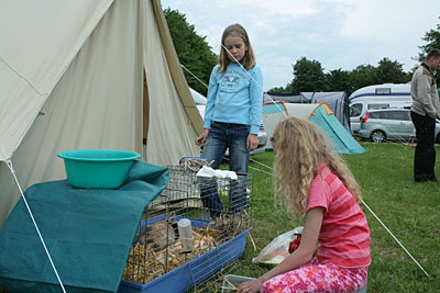 � N. Kloth 2009